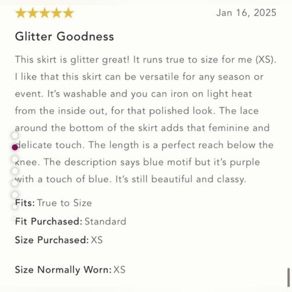 NWT Size XL - By Anthropologie Sequin Lace Midi Skirt - Picture 10 of 16